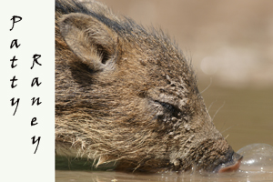 Peter Fish Patsy Raney Patty Raney at Martin Refuge in Edinburg, Texas
