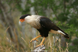 Martin Refuge - HOME